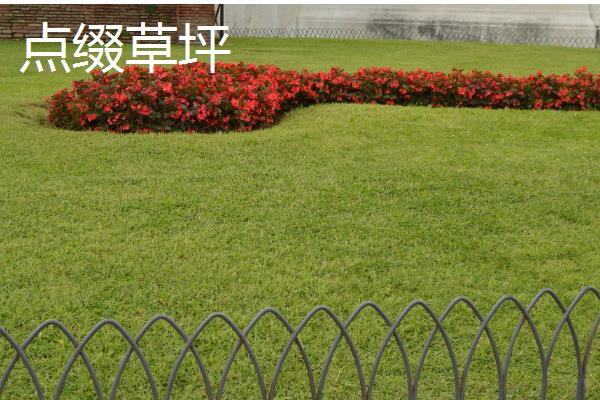 草籽如何种植,根据气候选择适宜的品种