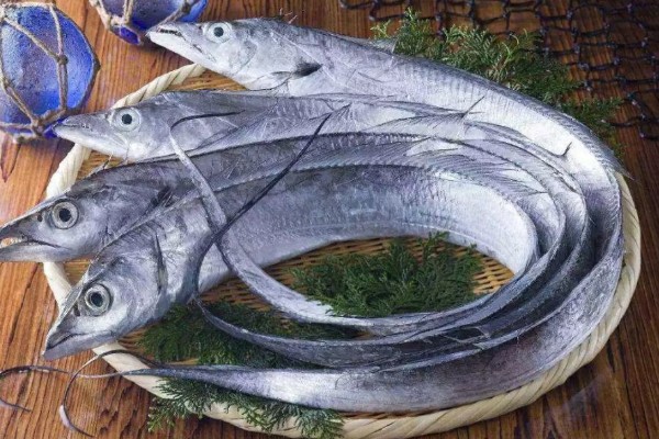 带鱼是不是野生的，市场上的带鱼以野生种为主