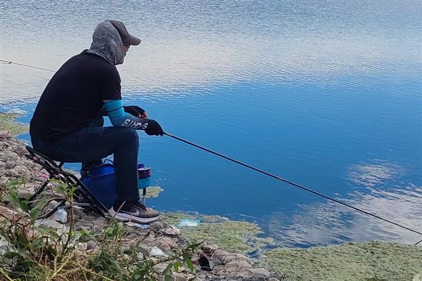 伊势尼钩可以钓哪些鱼，包括青鱼、鲤鱼、草鱼等品种