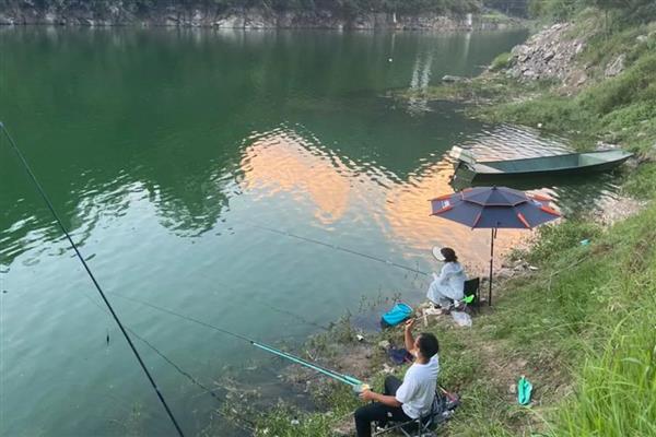 伊势尼钩可以钓哪些鱼，包括青鱼、鲤鱼、草鱼等品种