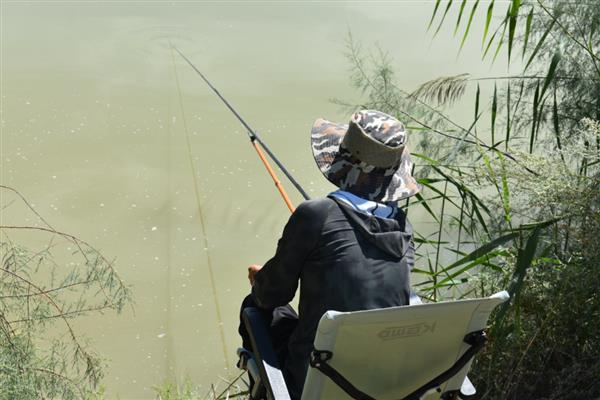 伊势尼钩可以钓哪些鱼，包括青鱼、鲤鱼、草鱼等品种