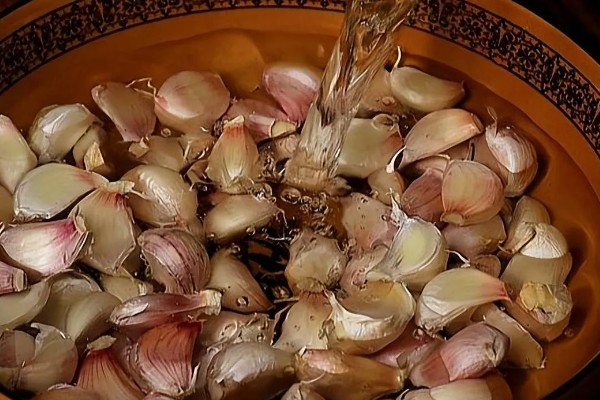 大蒜为什么不发芽，主要是温度低、缺水、没有去顶导致