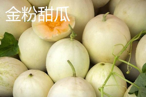 好吃的甜瓜品种,有伊丽莎白、兰州白兰瓜等