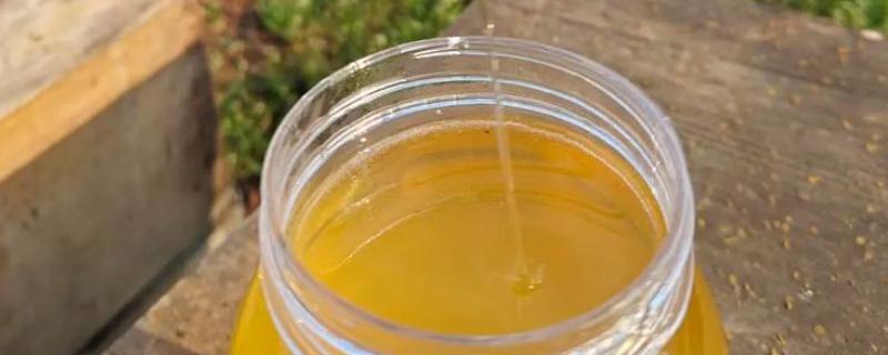 油菜花蜂蜜有没有营养，营养价值并不低