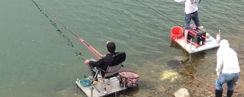 水库钓鱼选择哪种竿，海竿和手竿均可使用