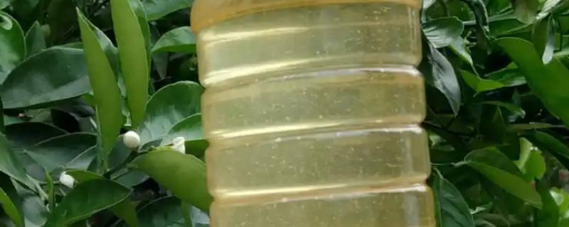 柑橘蜜的等级，属于一等蜂蜜