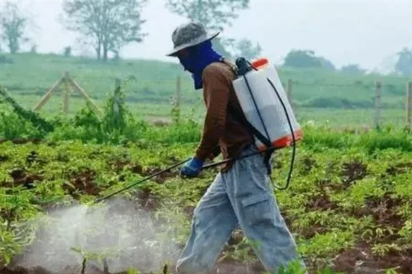 马铃薯怎么施肥，追肥一般以氮素化肥为主