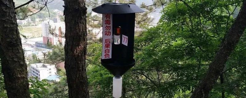 绿色威雷使用时的注意事项，喷药以树皮湿润为宜