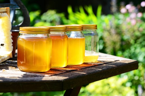 蜂蜜的价格,一斤需要30-100元左右