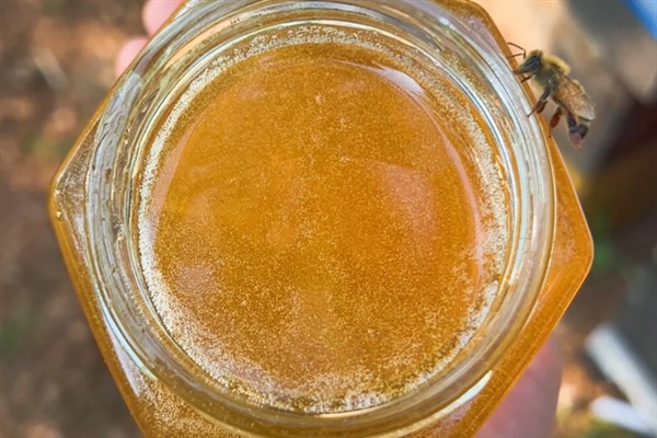 蜂蜜的价格,一斤需要30-100元左右