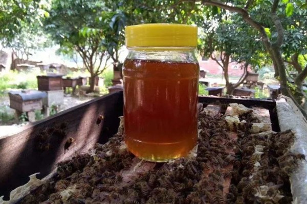 蜂蜜的价格,一斤需要30-100元左右
