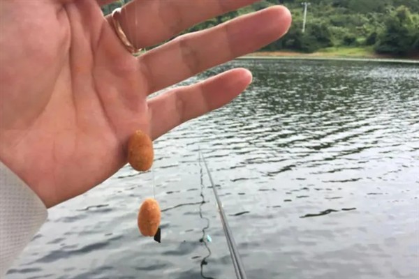 黑坑钓青鱼时的调漂方法，主要采取以下2种方式