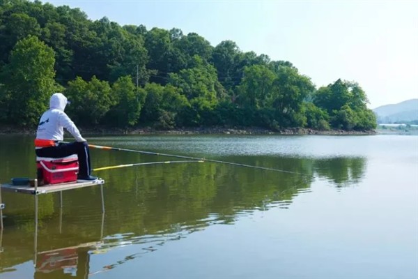 黑坑钓青鱼时的调漂方法，主要采取以下2种方式