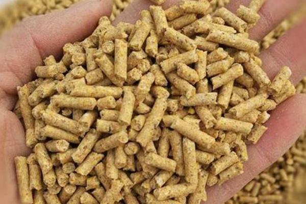 羊料槽用哪种材质，高强度工程聚丙烯纯原料具有结实耐用等特点