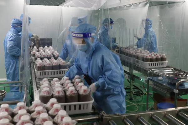 培养竹荪的步骤，菌种培养室的温度保持在22-23℃