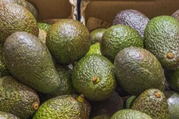 牛油果的催熟方法，用牛皮纸包裹后会逐渐成熟