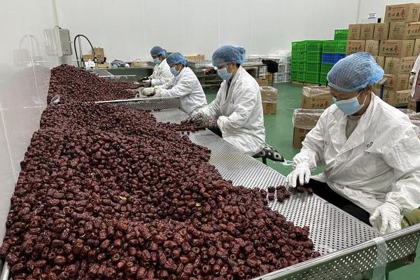 酸枣树的简介，属于鼠李科枣属植物