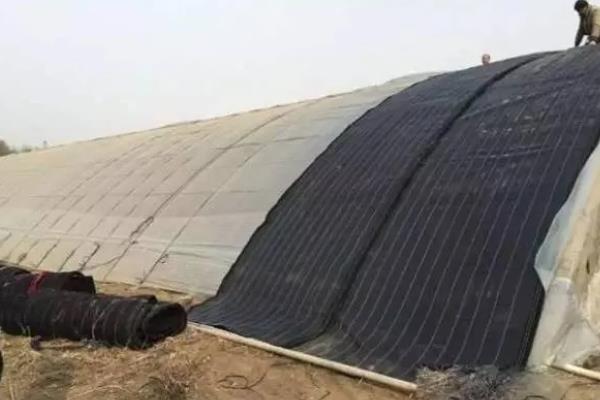 大棚里面容易出现哪些病害，常见霜霉病、白粉病、炭疽病等类型