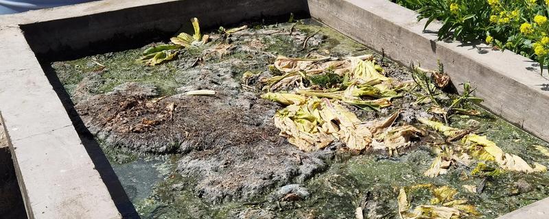 烂菜烂水果如何制作有机肥，可采用堆肥法、埋土法等