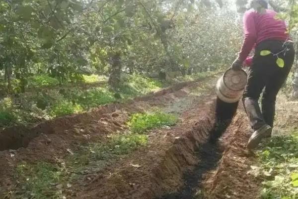 烂菜烂水果如何制作有机肥，可采用堆肥法、埋土法等