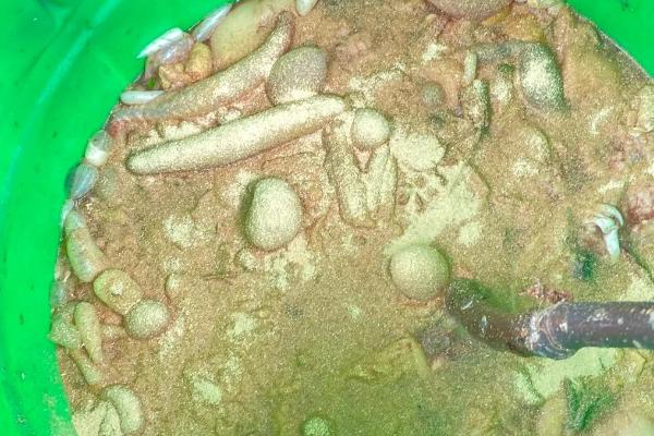 烂菜烂水果如何制作有机肥，可采用堆肥法、埋土法等
