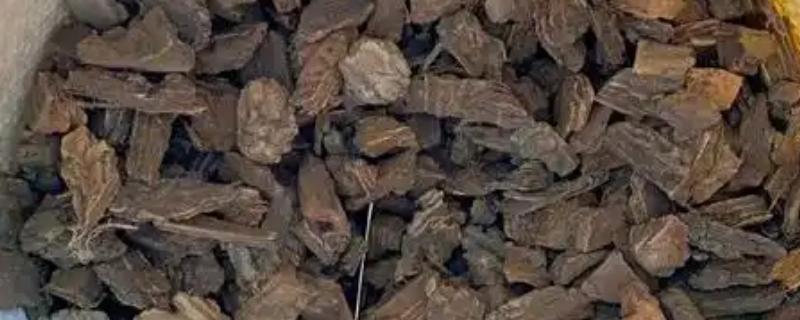 柳树皮发酵种兰花的方法，切碎消毒后再密封发酵2个月左右
