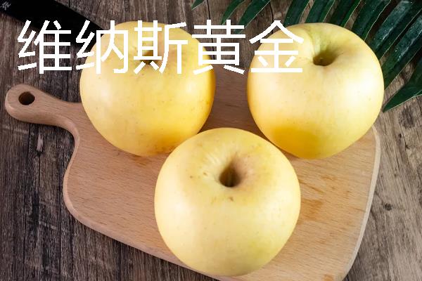 哪些苹果我国需要进口，维纳斯黄金、美国蛇果等品种属于进口货