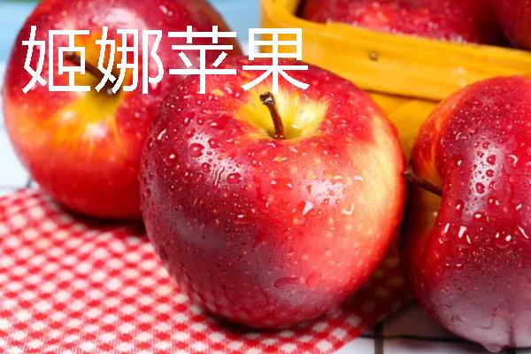 哪些苹果我国需要进口，维纳斯黄金、美国蛇果等品种属于进口货