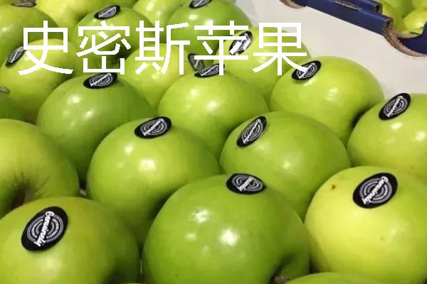 哪些苹果我国需要进口，维纳斯黄金、美国蛇果等品种属于进口货