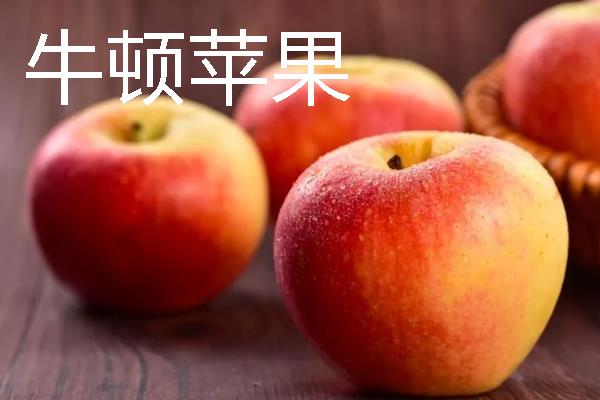 哪些苹果我国需要进口，维纳斯黄金、美国蛇果等品种属于进口货