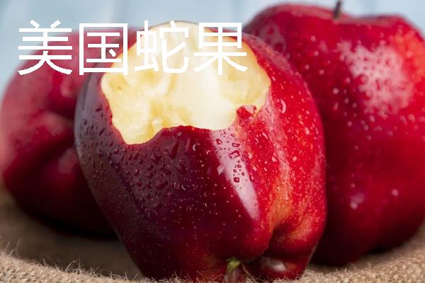 哪些苹果我国需要进口，维纳斯黄金、美国蛇果等品种属于进口货