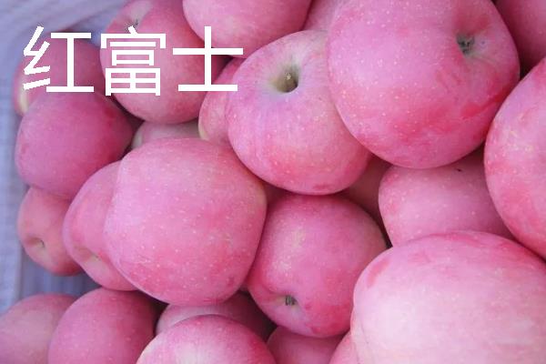 哪些苹果我国需要进口，维纳斯黄金、美国蛇果等品种属于进口货