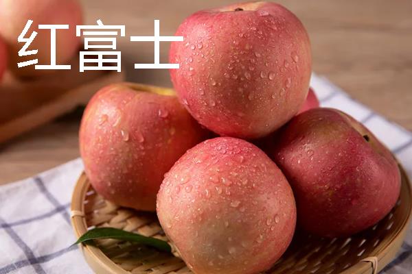 哪些苹果我国需要进口，维纳斯黄金、美国蛇果等品种属于进口货