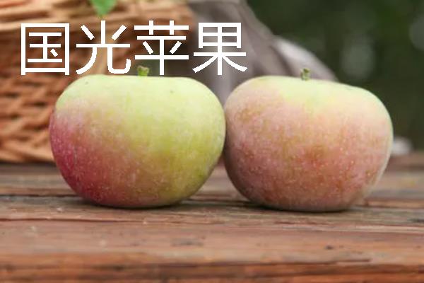 哪些苹果我国需要进口，维纳斯黄金、美国蛇果等品种属于进口货