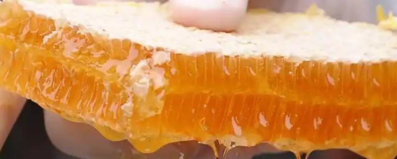 真假蜂巢蜜的区别，真品有自然的花香味且甜润适口