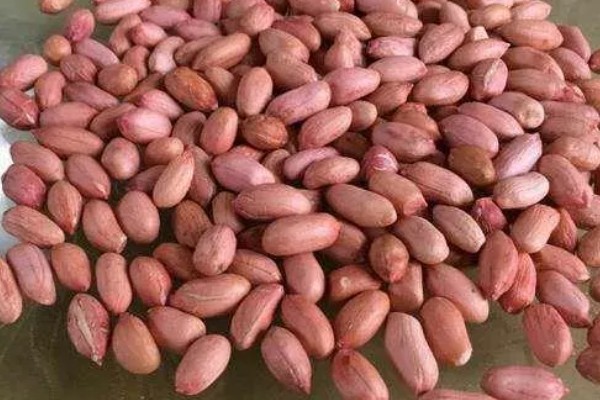 双季花生的种植方法，喷施硼砂和钼铵混合液可起到增产效果