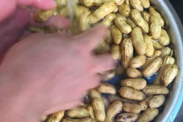 双季花生的种植方法，喷施硼砂和钼铵混合液可起到增产效果