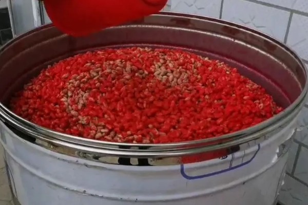双季花生的种植方法，喷施硼砂和钼铵混合液可起到增产效果