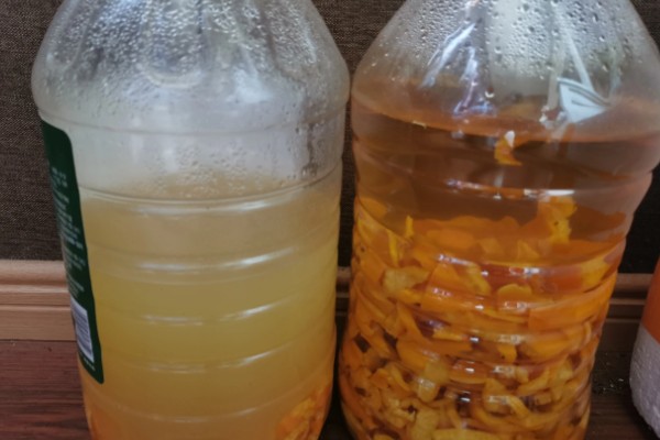 橘子皮水适合对哪些花使用，包括茶花、兰花、栀子花等品种