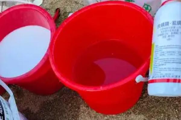 稀释农药的方法,可湿性农药先用少量水稀释再倒入药水桶中
