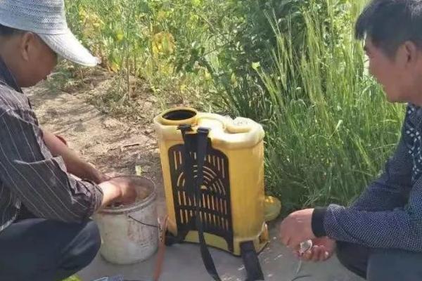 稀释农药的方法,可湿性农药先用少量水稀释再倒入药水桶中