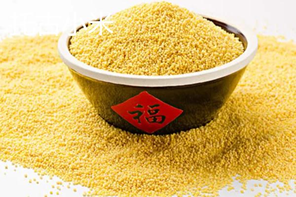 黑龙江肇州县的特产，肇州核桃具有诸多美誉
