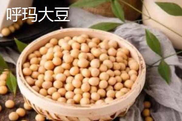 黑龙江肇州县的特产，肇州核桃具有诸多美誉