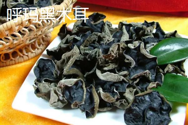 黑龙江肇州县的特产，肇州核桃具有诸多美誉