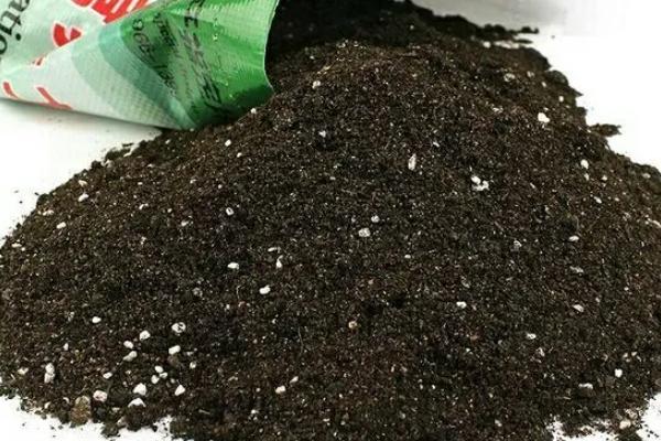 有机肥是指哪种肥料，通常指的是农家肥