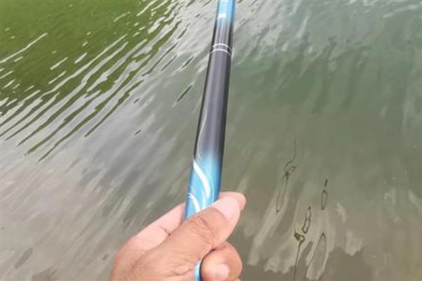 什么牌子的大物竿比较好，推荐光威、迪佳等
