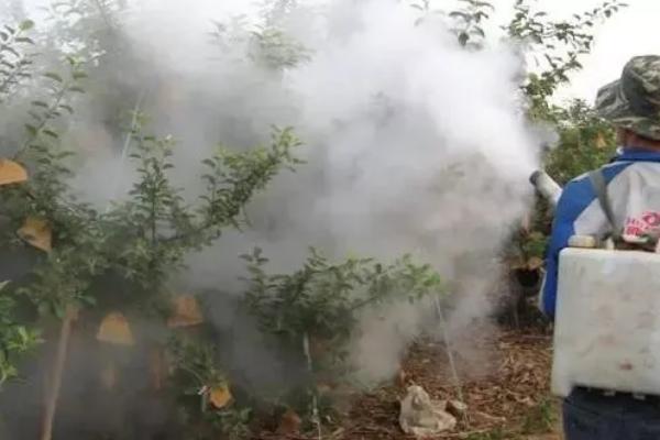 果树怎么套袋，要选择防日照、抗老化的袋子
