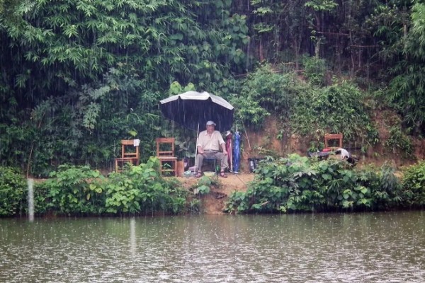 肥水钓鲫鱼的方法，最佳天气是风雨过后