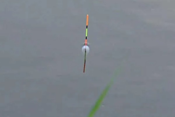 肥水钓鲫鱼的方法，最佳天气是风雨过后