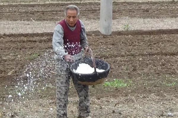 硼肥如何使用，作基肥每公顷7.5-10kg为宜
